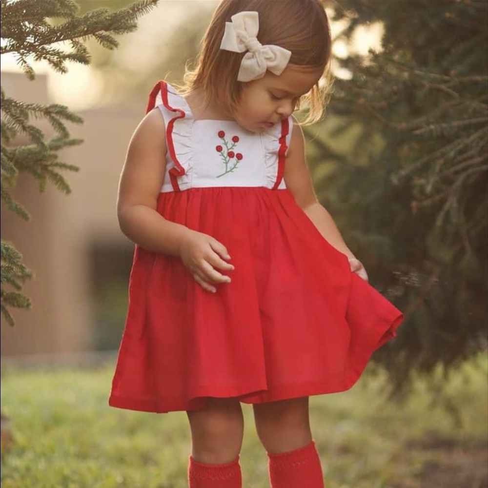 Well Dressed Wolf Winterberries Dress Size 5